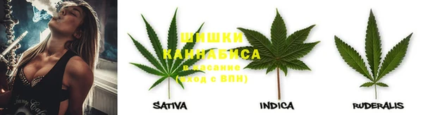 прущие крисы Абинск