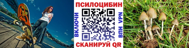 гидра вход  цена   Бугуруслан  Псилоцибиновые грибы Psilocybine cubensis 
